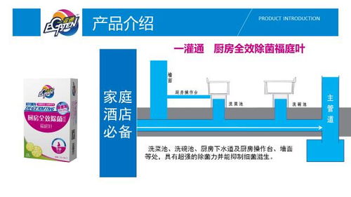 功能原理與技術(shù)支持 揭秘一灌通廚衛(wèi)管道深層清潔產(chǎn)品的數(shù)據(jù)處理與存儲服務(wù)